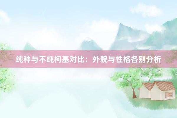 纯种与不纯柯基对比：外貌与性格各别分析