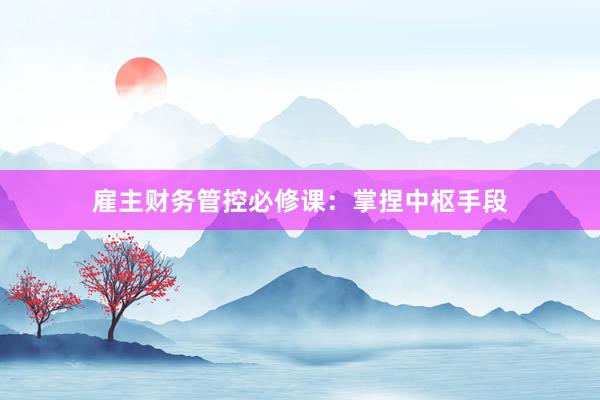 雇主财务管控必修课：掌捏中枢手段
