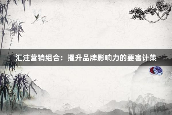 汇注营销组合：擢升品牌影响力的要害计策